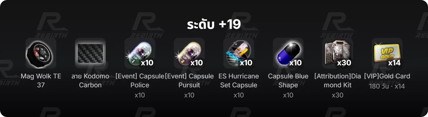 ระดับ +19